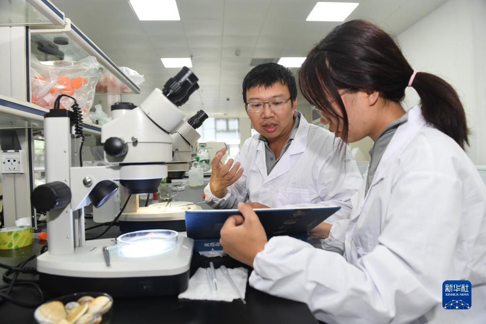 跟梅高美一样的游戏网站